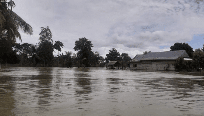 Kondisi Bnajir di Desa Pombakka, Kecamatan Malangke Barat, Kabupaten Luwu Utara (Foto: Dok Sharma Hadeyang)