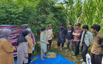Ketua Tim PKM Fakultas Peternakan Unhas Marhamah Nadir memberikan materi kepada peternak