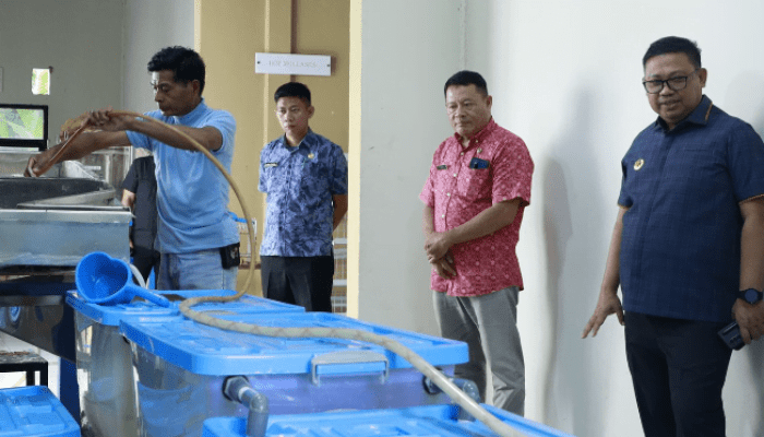 Mantap! UPTD Pangan Kota Palopo Mulai Produksi Sagu Kering, Diberi Merek Marasa