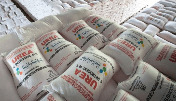 Harga Pupuk Melonjak di Bontocani Bone, Petani Resah