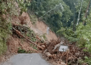 Longsor Tutup Total Jalan Trans Sulawesi, Mobil Jenazah Terjebak dalam Antrean Panjang