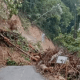 Jalan Trans Mangkutana