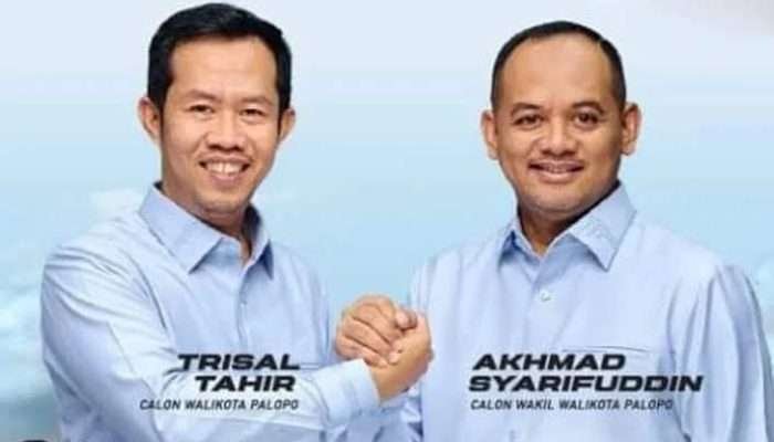 Bahaya! Kemenangan Trisal-Ome di Pilkada Palopo 2024 Terancam Dibatalkan MK