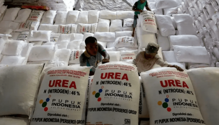 KPK dan Kejagung Didesak Usut Tuntas Skandal Rp8,3 Triliun di PT Pupuk Indonesia