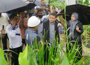 Tinjau Proyek RISE, Wali Kota Makassar Dorong Penguatan Infrastruktur Hijau di Permukiman Informal