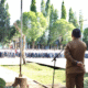 Bupati Luwu Timur Irwan Bachri Syam
