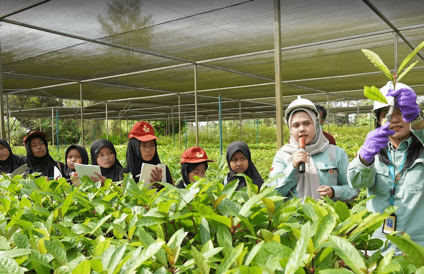 Site Visit SD Rante Angin-Taman Kehati Sawerigading Wallacea Sorowako