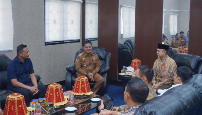 Wagub Dhevy Bijak Sampaikan Aspirasi Pemekaran Luwu Tengah ke DPD RI