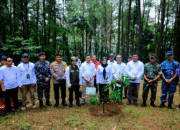 Wagub Fatmawati Serukan Aksi Kolektif Atasi Kerusakan Lingkungan di Sulsel
