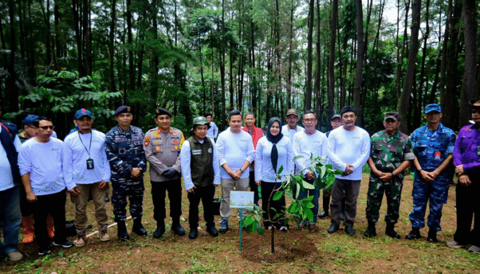 Wagub Fatmawati Serukan Aksi Kolektif Atasi Kerusakan Lingkungan di Sulsel