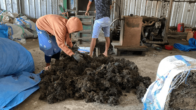 Program Pemberdayaan Unibos Dongkrak Nilai Jual Rumput Laut Ampekale