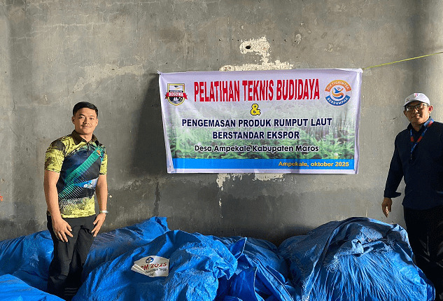 Program Pemberdayaan Unibos Dongkrak Nilai Jual Rumput Laut Ampekale (Foto: IST)