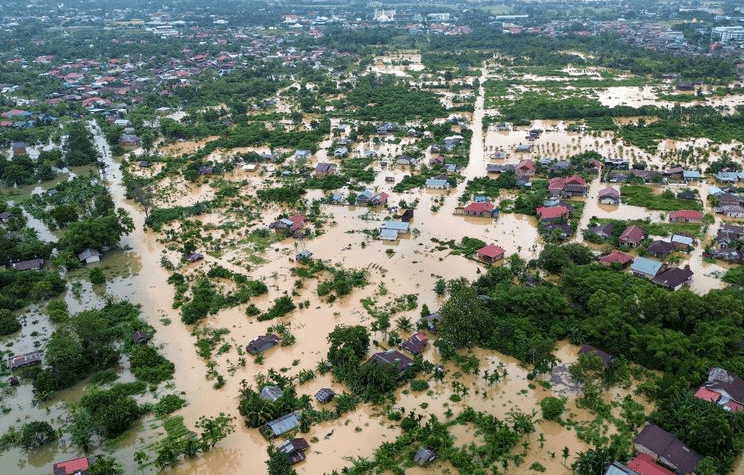 Potret Bencana Banjir Sumatera (Foto: IST)