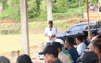 Bupati Luwu Resmikan Lapangan Sepak Bola Binturu