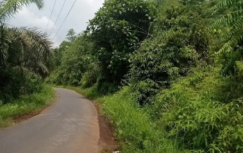 Kondisi Awal Jalan Terusan Ussu - Matano