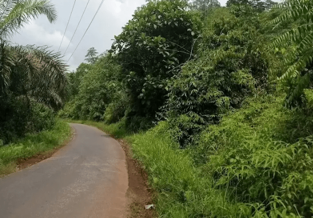 Kondisi Awal Jalan Terusan Ussu - Matano