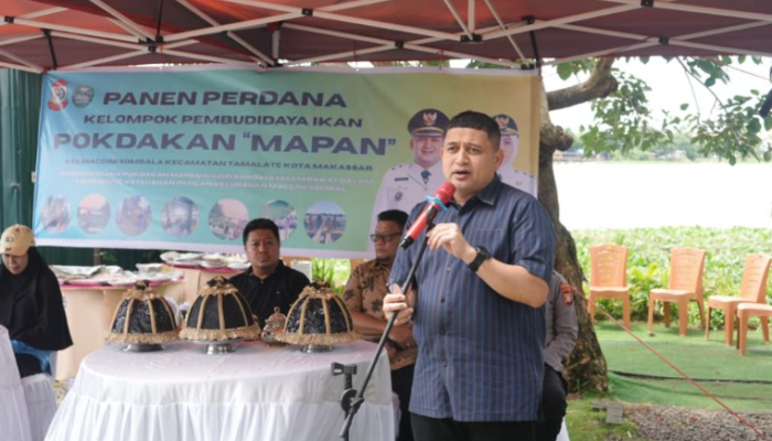 Panen Perdana Pokdakan Mapan, Munafri Dorong Ketahanan Pangan Berbasis Warga di Makassar