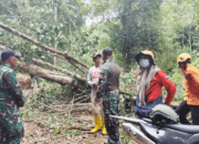 TRC BPBD Sidrap Tinjau Longsor di Leppangeng, 384 KK Terdampak
