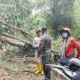 TRC BPBD Sidrap Tinjau Longsor di Leppangeng, 384 KK Terdampak