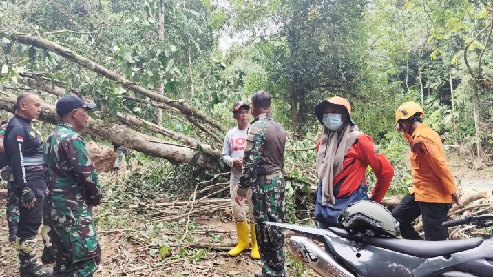 TRC BPBD Sidrap Tinjau Longsor di Leppangeng, 384 KK Terdampak