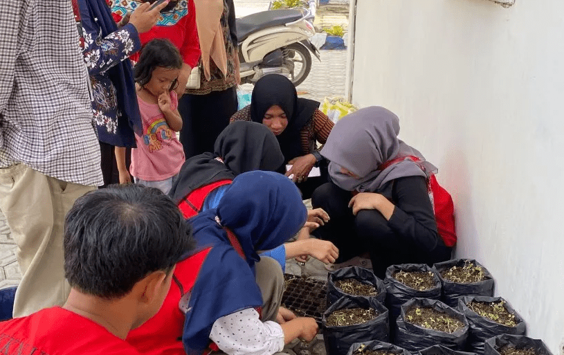 Mahasiswa KKN-T Unhas Kembangkan Kebun Sayur Polybag di Tanru Tedong
