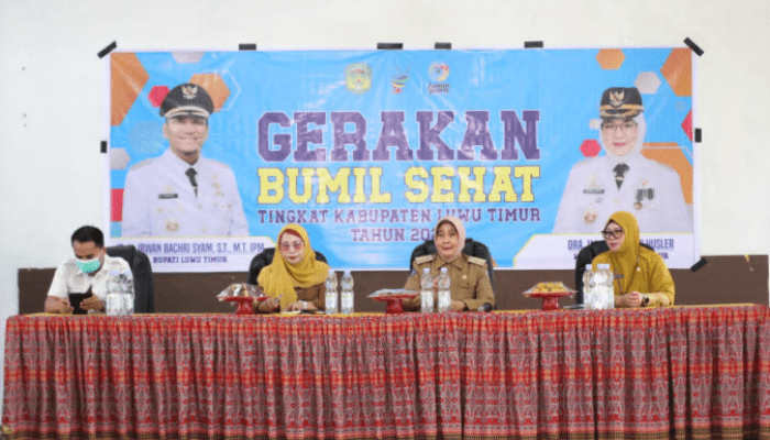 Dinkes Lutim Waspadai Tren Stunting, Edukasi Ibu Hamil Lewat Gerakan Bumil Sehat