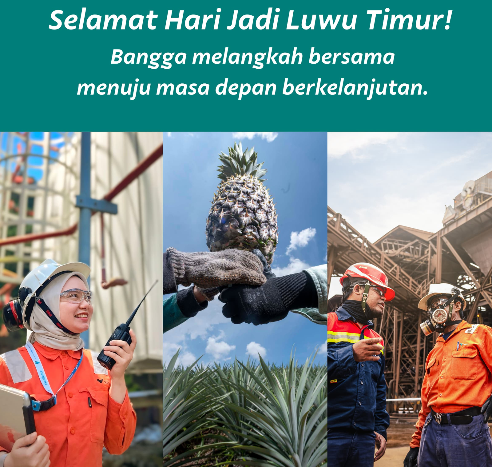 HUT Lutim