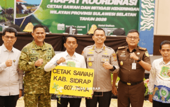 Pemkab Sidrap Target Tambah 600 Hektare Sawah Baru pada 2026