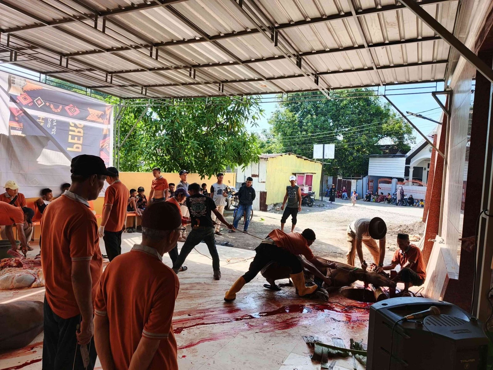 Proses penyembelihan hewan qurban di Masjid Jannatul Firdaus Telkomas, Rabu (27/5/2026) 
