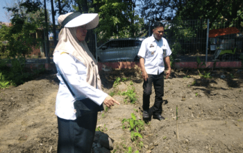 Sekcam Tallo Tinjau Langsung Pemilahan Sampah Organik dan Anorganik di Kelurahan Lembo