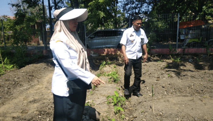 Sekcam Tallo Tinjau Langsung Pemilahan Sampah Organik dan Anorganik di Kelurahan Lembo