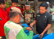 Unhas Hadirkan Mesin Pencacah Pakan untuk Tingkatkan Produktivitas Peternak Sapi di Bulukumba