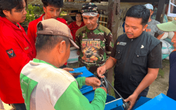 Unhas Hadirkan Mesin Pencacah Pakan untuk Tingkatkan Produktivitas Peternak Sapi di Bulukumba