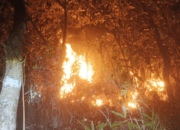 Gubernur Sulsel Andi Sudirman Ajak Masyarakat Bersama-sama Cegah Kebakaran Hutan dan Lahan