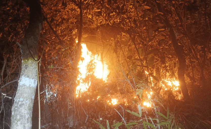 Gubernur Sulsel Andi Sudirman Ajak Masyarakat Bersama-sama Cegah Kebakaran Hutan dan Lahan