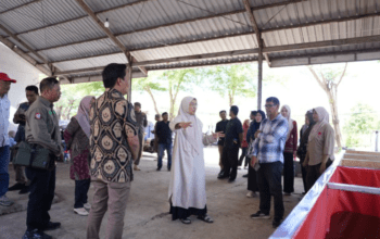 Tinjau TPS3R Paccerekang dan Katimbang, Melinda Aksa Tekankan Penguatan Pengelolaan Sampah dari Sumber