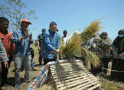 Munafri Salurkan 2.000 Liter Pupuk dan Ribuan Kilogram Benih untuk Kelompok Tani Makassar