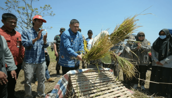 Pemkot Makassar Dorong Pertanian Berbasis Teknologi di Tengah Keterbatasan Lahan