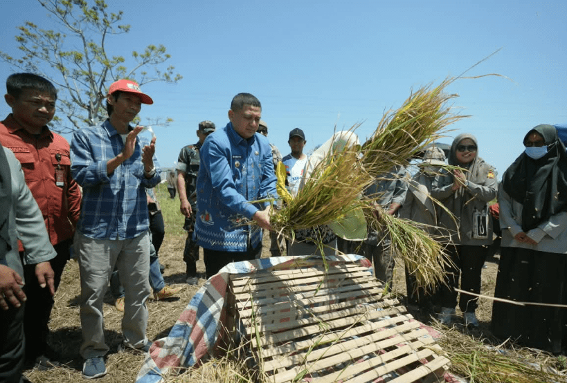Munafri Salurkan 2.000 Liter Pupuk dan Ribuan Kilogram Benih untuk Kelompok Tani Makassar
