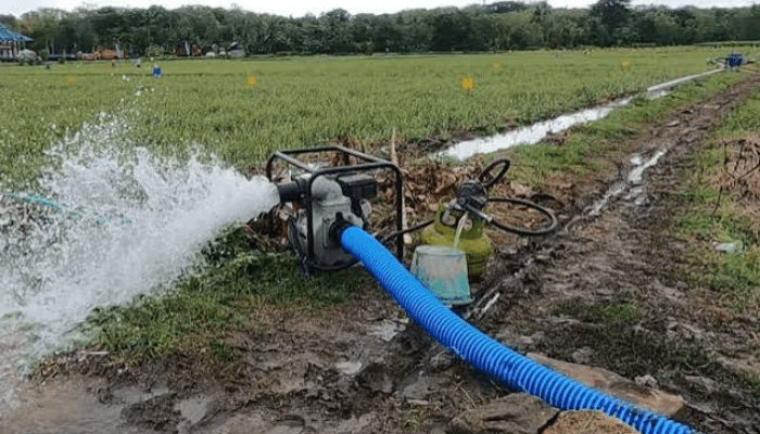 Atasi Kekeringan Sawah, Pemprov Sulsel Kerahkan 300 Pompa dan 100 Sumur Bor