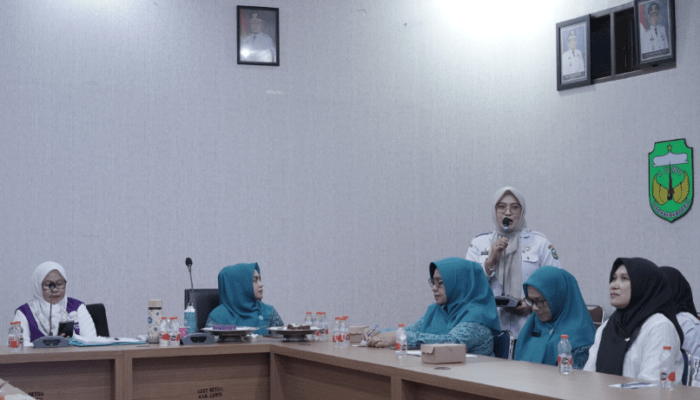 Tak Lagi Sekadar Timbang Balita, Posyandu di Luwu Didorong Jadi Pusat Layanan