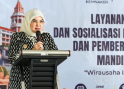 Wakil Wali Kota Makassar, Aliyah Mustika Ilham