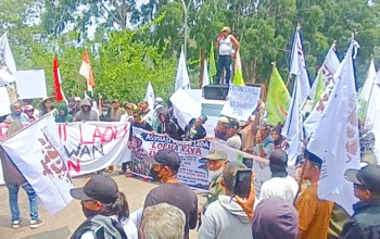 Aliansi Tani Luwu Timur
