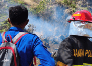 Dua Karhutla Terjadi di Polman dalam Sehari, Damkar Bergerak Cepat Padamkan Api