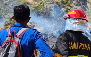 Dua Karhutla Terjadi di Polman dalam Sehari, Damkar Bergerak Cepat Padamkan Api