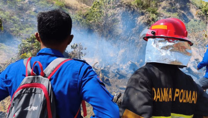 Dua Karhutla Terjadi di Polman dalam Sehari, Damkar Bergerak Cepat Padamkan Api