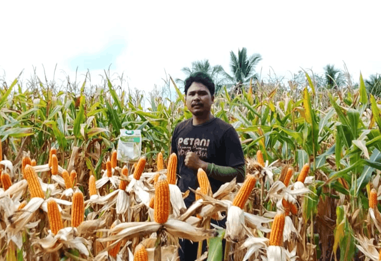 Riswandi Eka Afrianto
