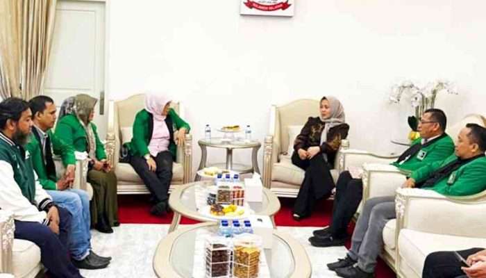 KAHMI Sulsel Audiensi dengan Wagub Fatmawati, Perkenalkan Rencana Pembangunan Graha Hijau Hitam