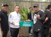 Sekda Selayar Tanam Kayu Putih di Kawasan Konservasi PT Vale, Bagian dari Harkopnas ke-79