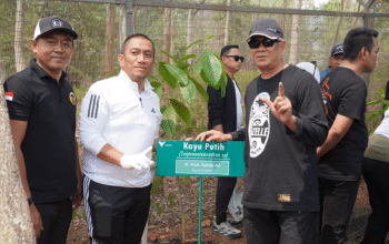 Sekda Selayar Tanam Kayu Putih di Kawasan Konservasi PT Vale, Bagian dari Harkopnas ke-79